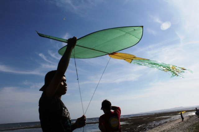 Ayo ke Tinambung Saksikan Festival Layang-layang Terbesar se Polman