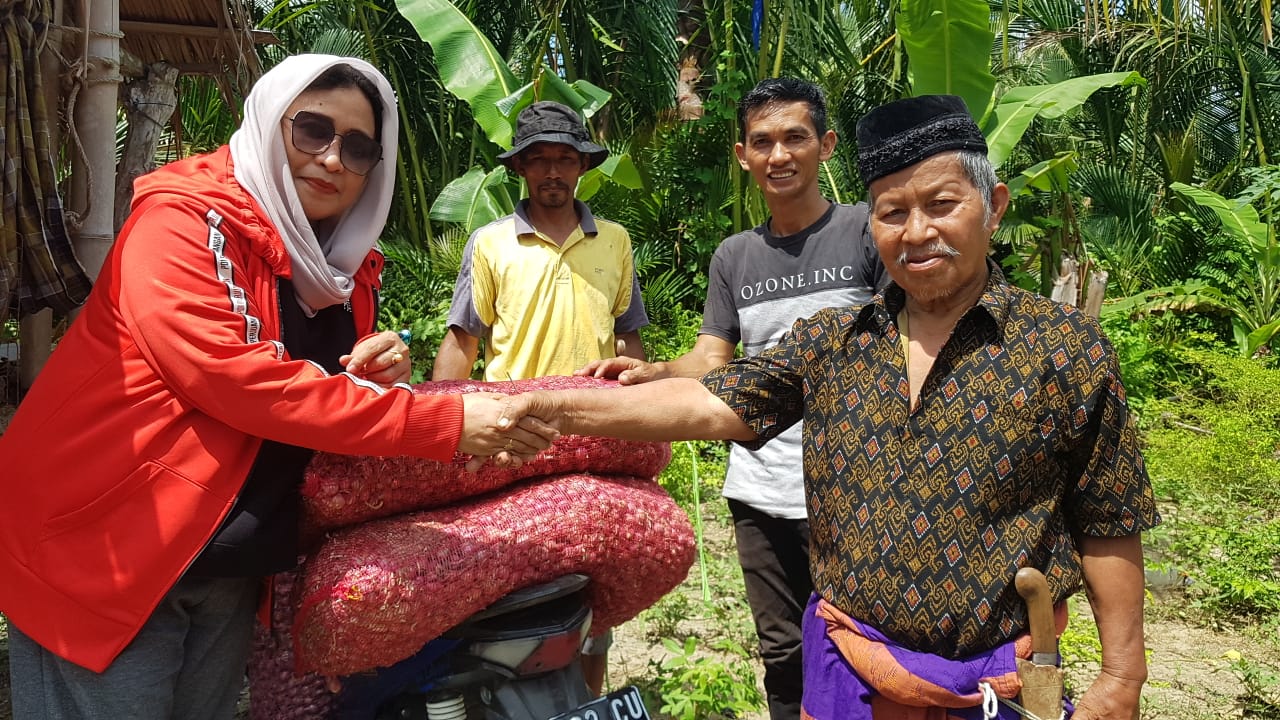 Nurnazila H Kalammor Bantu Petani Bawang Merah di Desa Renggeang, Polman